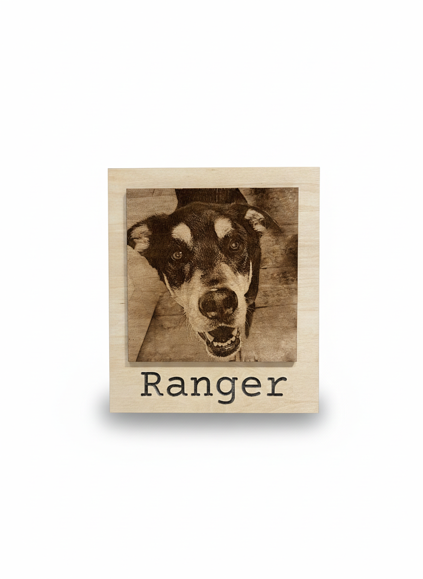 Modern Naturalist Style Engraved Photographs