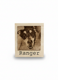 Modern Naturalist Style Engraved Photographs
