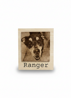 Modern Naturalist Style Engraved Photographs
