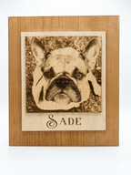 Modern Naturalist Style Engraved Photographs